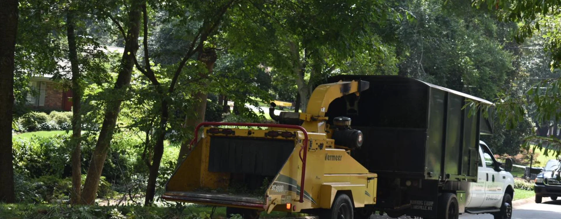 Scarlet Oak Tree Service Canton GA Hero 2