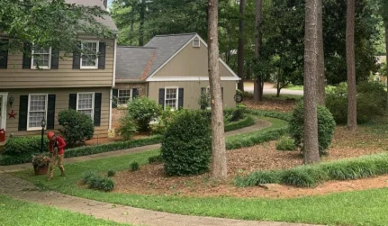 Tree trimming Canton GA