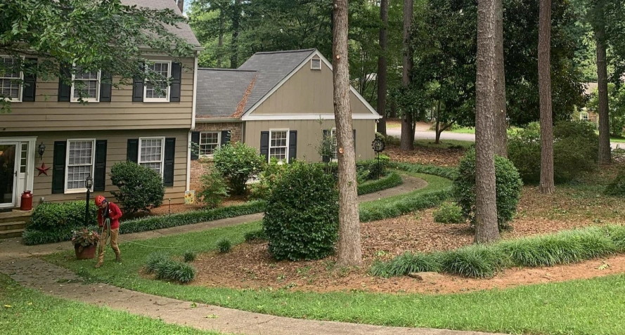 Tree trimming Canton GA